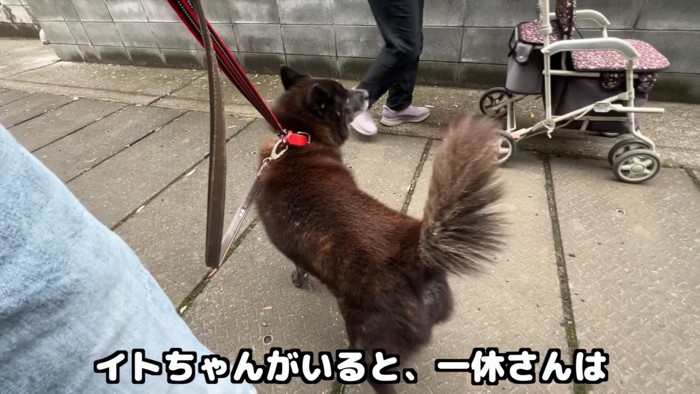 おばあちゃんが通り過ぎたらほっと一安心