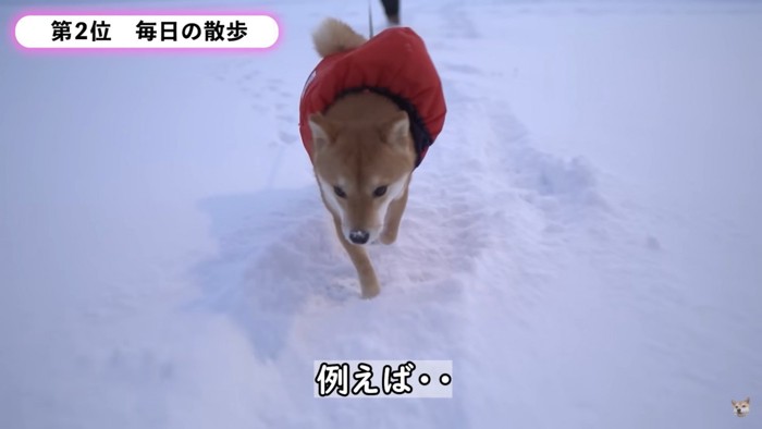 雪道を散歩2