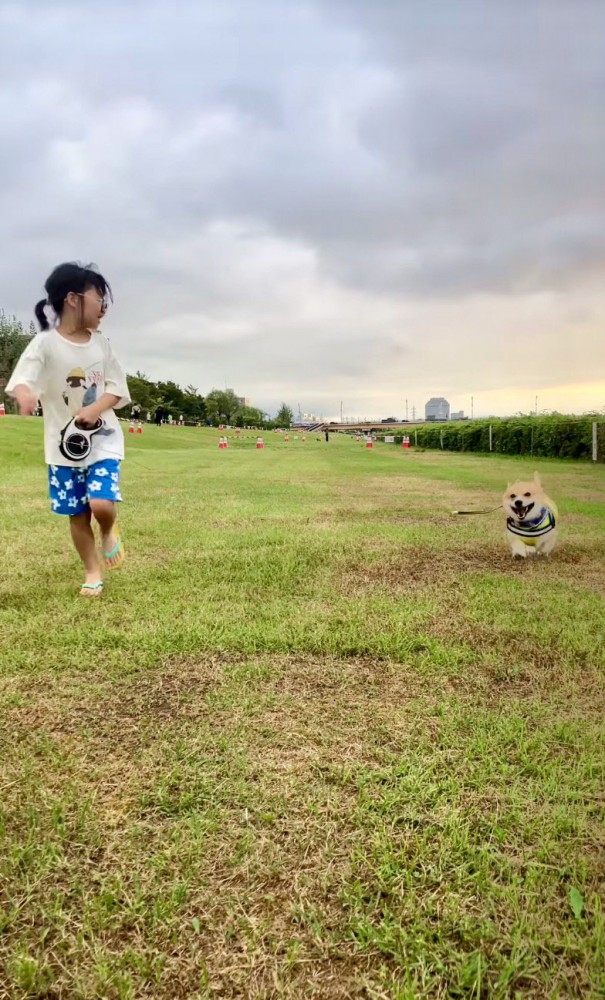 お姉ちゃんと走る犬