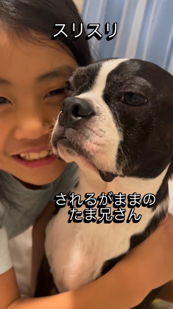 犬に頬ずりをする女の子