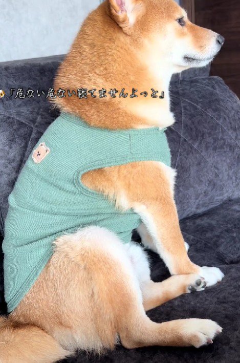 ドラマの途中だった!!