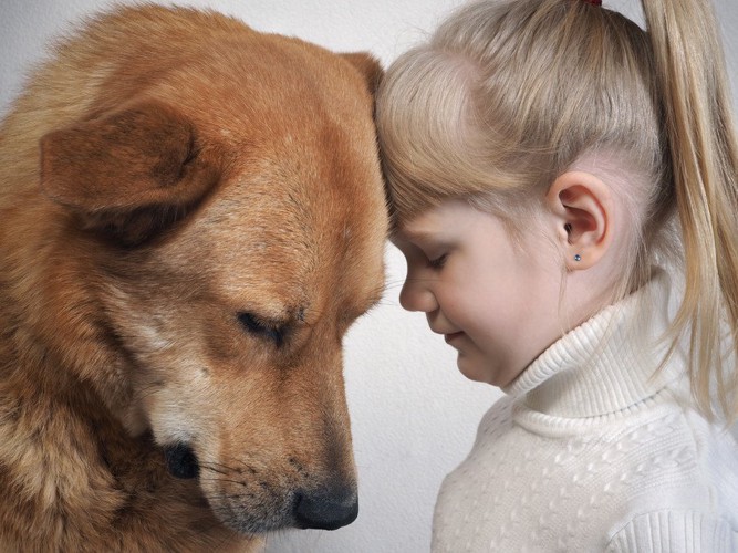 女の子ト額を合わせる犬