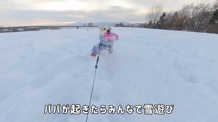 幸せすぎる家族の時間