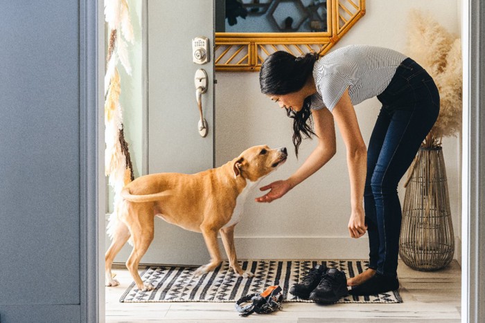 玄関で再会する犬と女性