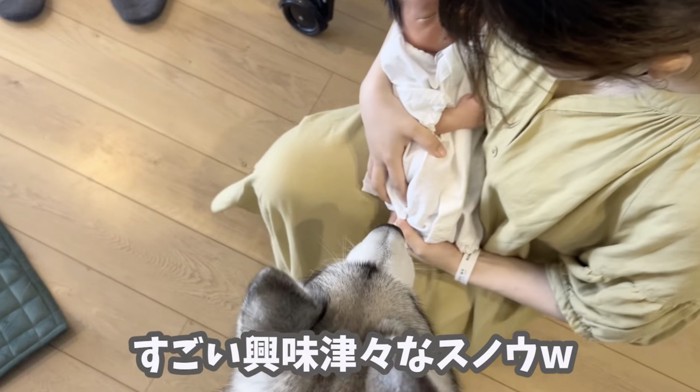 「初めましてっ」