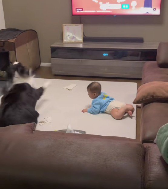 驚いてズッコケるこり男くん