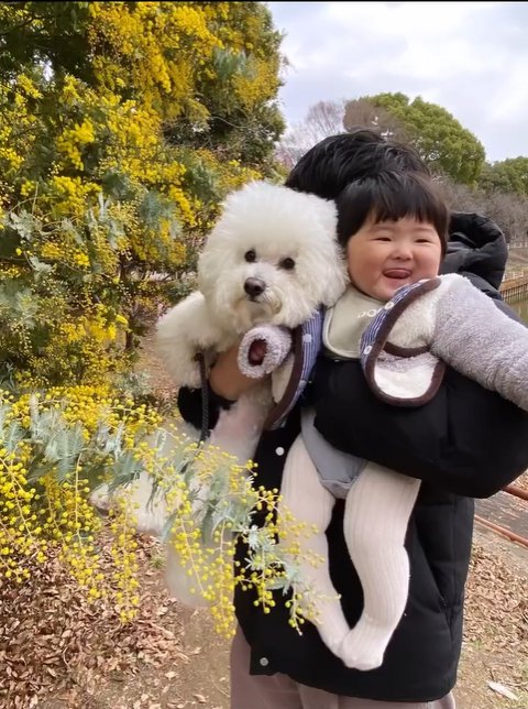 抱っこされる赤ちゃんと小型犬