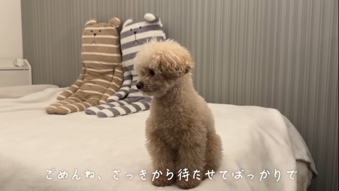 うつむく犬