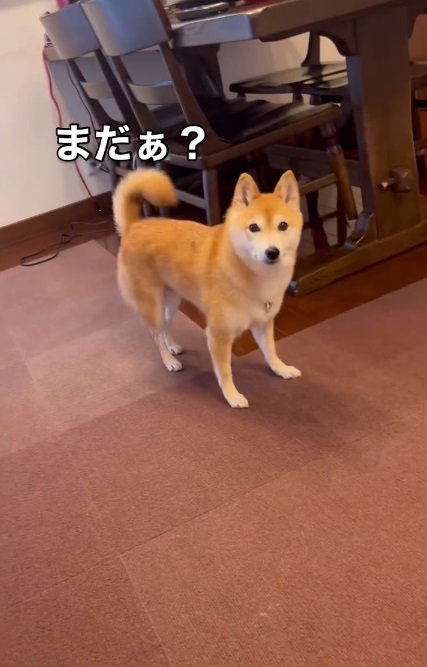 お母さんに確認する小春ちゃん