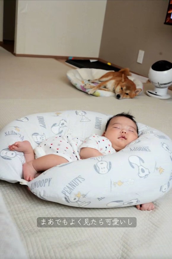 遠くから見守るまるくん