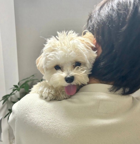 抱っこが大好き♡