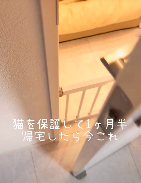 ドアを開けてみたら…