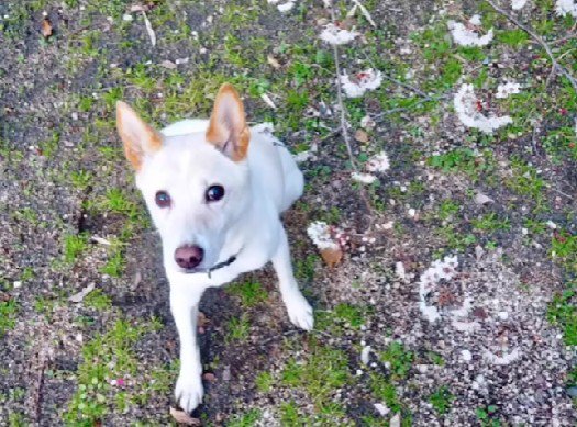 少しずつ距離が縮まった