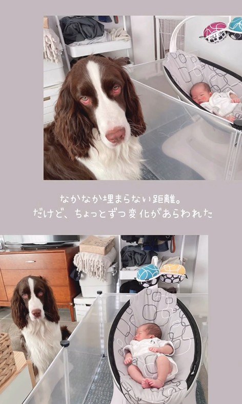 ププくんと娘さん3