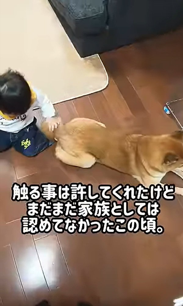 尻尾を触られるロック君