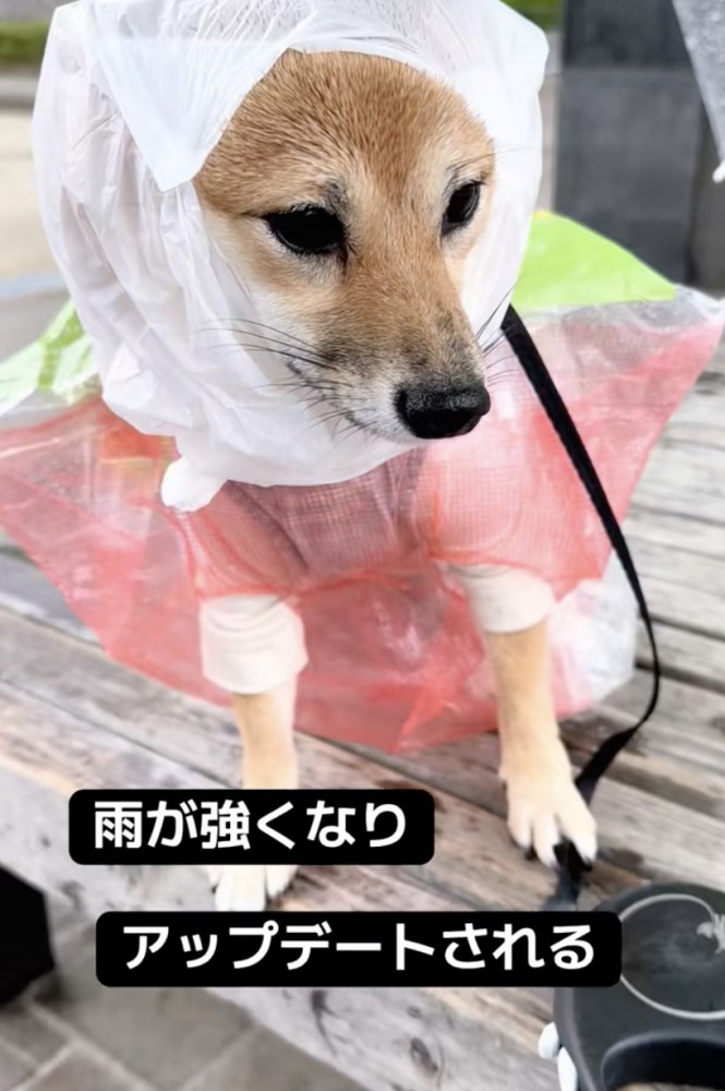 強まる雨で「アップデート」しました