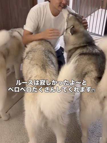 一番の寂しがり屋、ルースさん