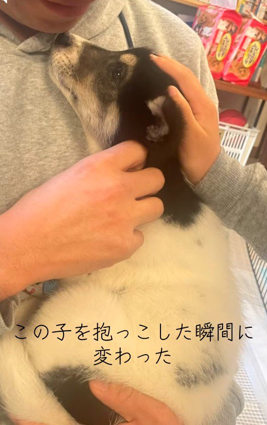 抱っこした瞬間メロメロに♪