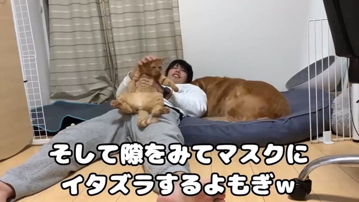 伏せる犬と男性のおなかに乗る猫