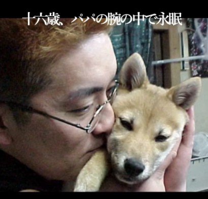 幸せな犬生を終えて