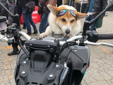 バイク乗り