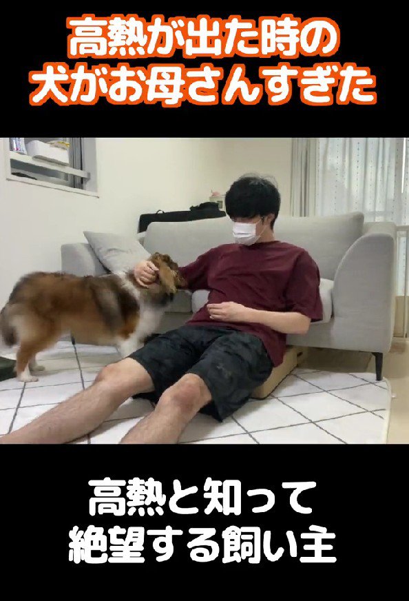 ちょっと限界かも…