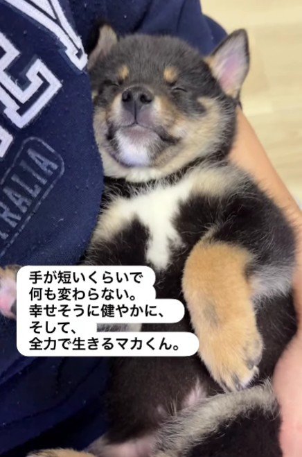 これからも幸せにね