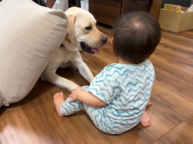 兄妹
