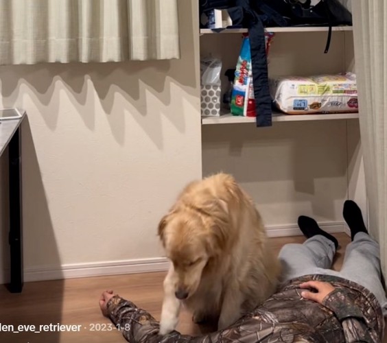 温もりを確かめるイヴちゃん