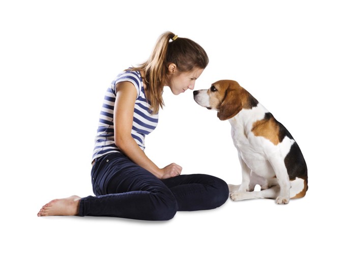 向き合う犬と女性