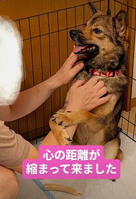 徐々に表情が柔らかくなってきた