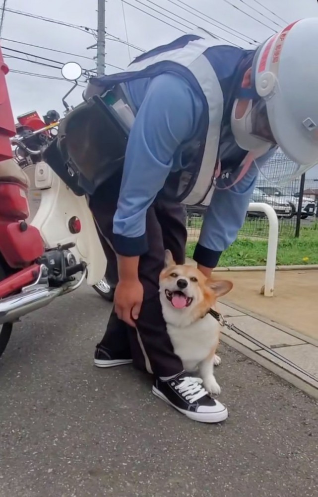 嬉しそうな犬