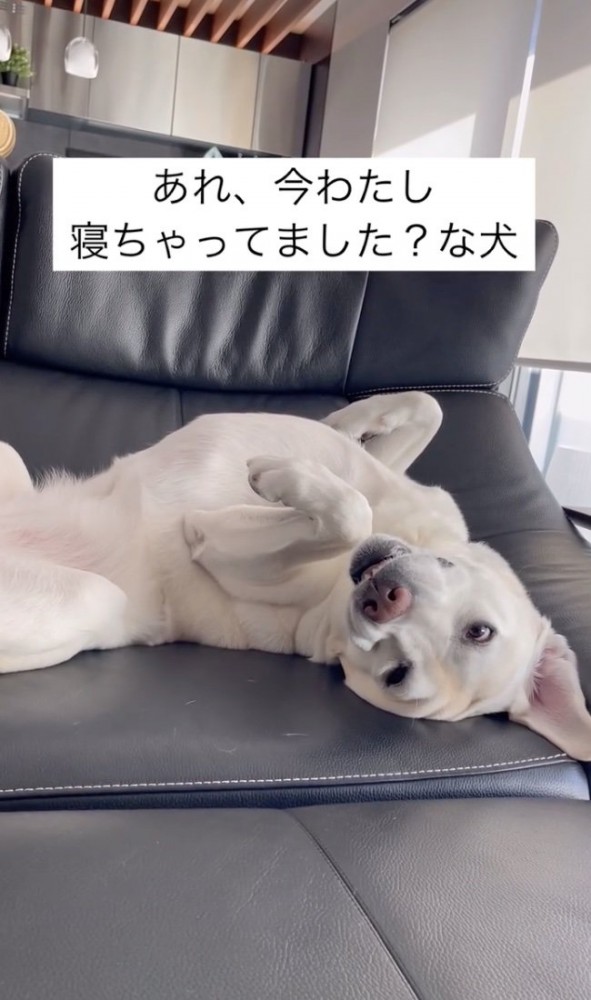 寝てたわ