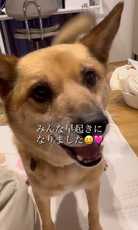 おふとん君の変化⑩