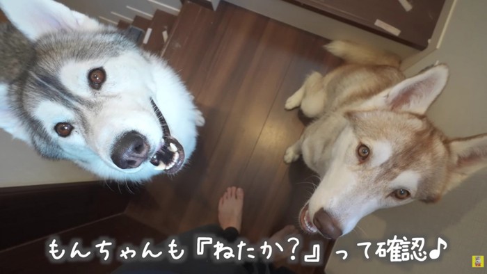 ちゃんと寝てるかな?