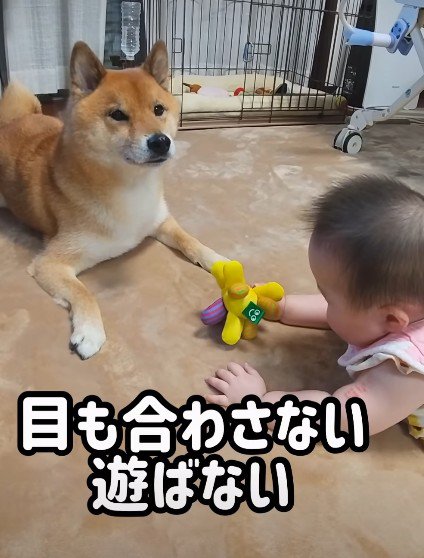 存在を認めないロックくん