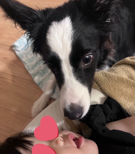 離乳食