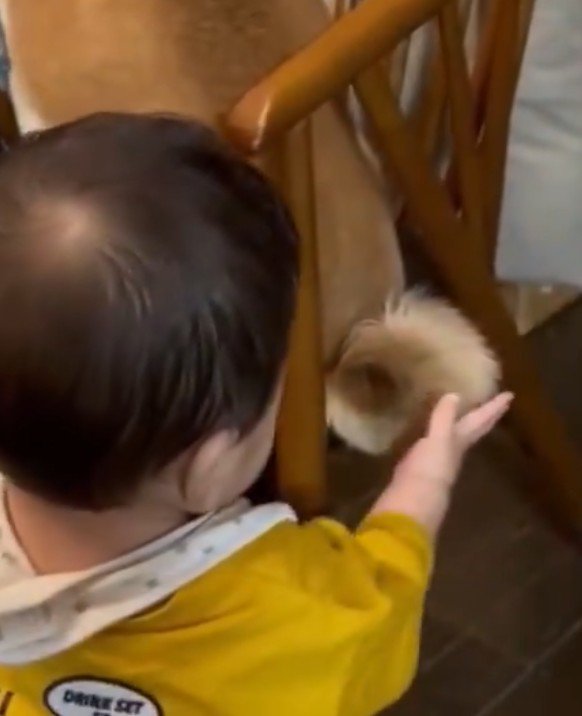 ふわふわ…！