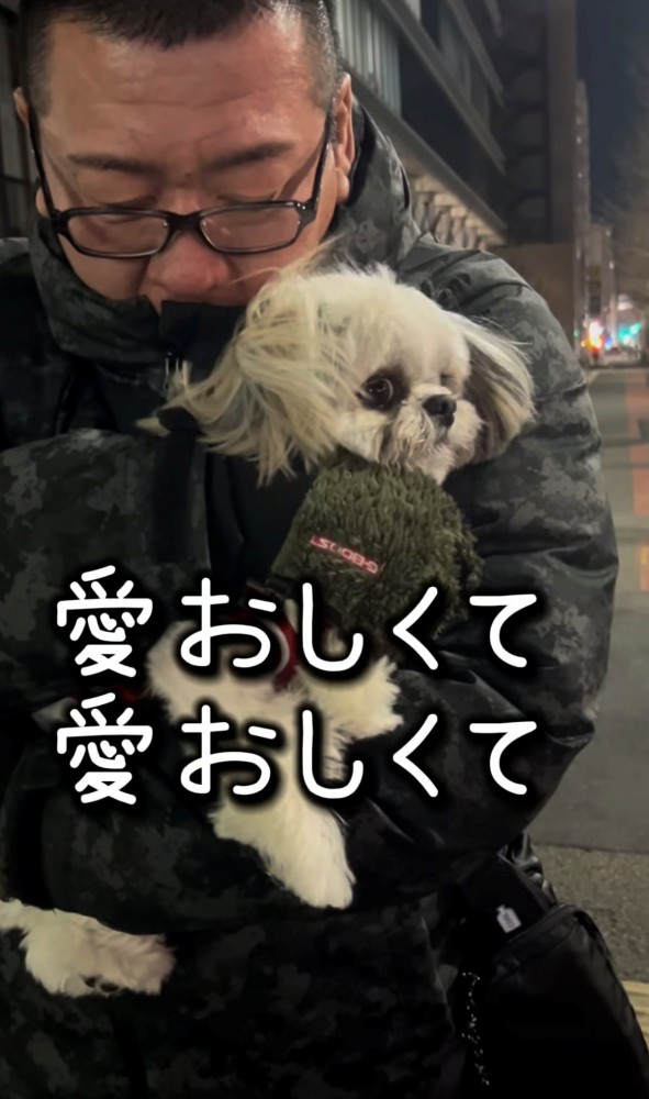 寒そうに抱っこされている犬