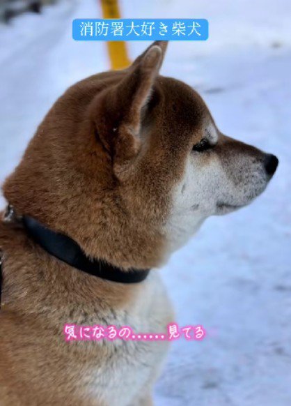 雪が降る寒い日も…