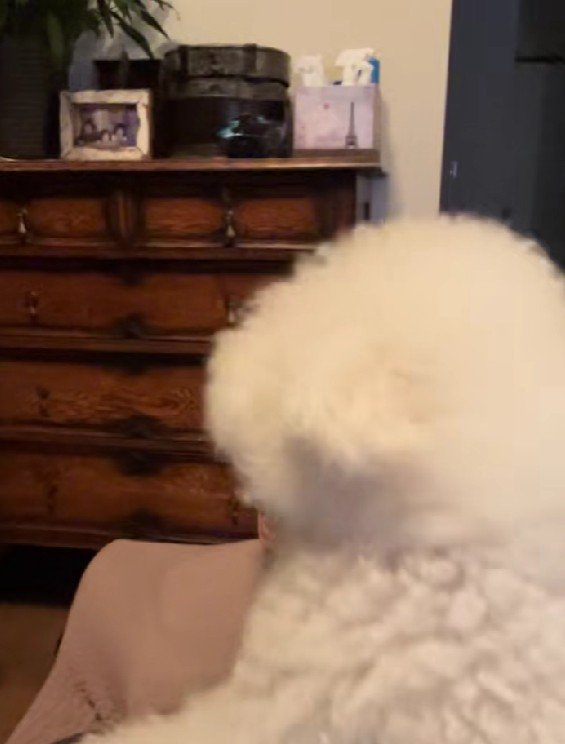 久々の再会に喜んでいる一幕でした