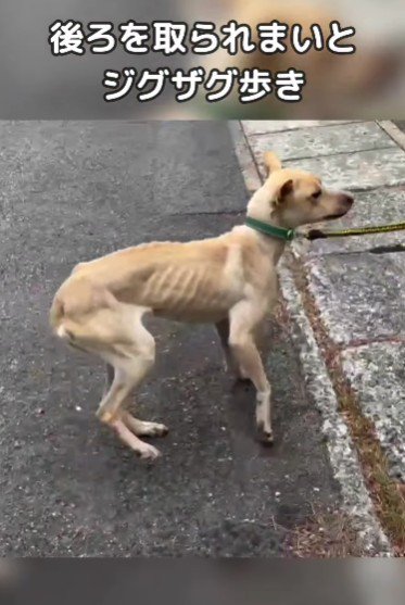 背後を取られたくない