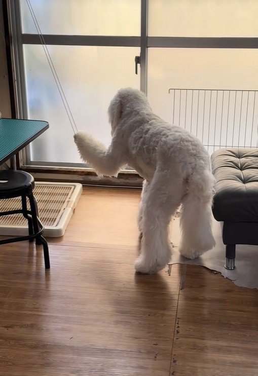 お手々に紐が！