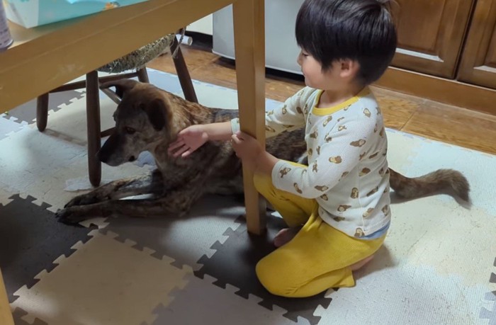 男の子のそばに座って静かにしている犬