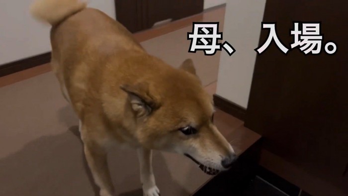 熱烈大歓迎!