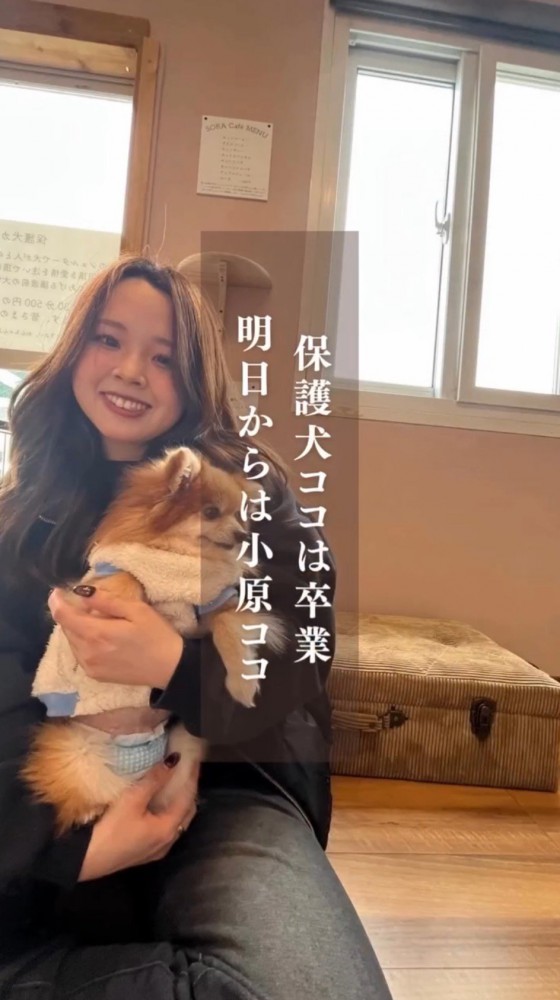 犬を抱きしめる笑顔の女性
