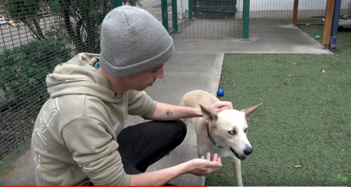 男性と犬