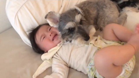 赤ちゃんを枕にするトトちゃん7