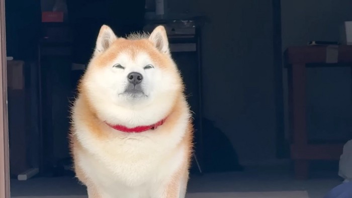 雪見で冬を満喫♡