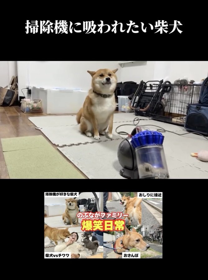 吸われ待ち